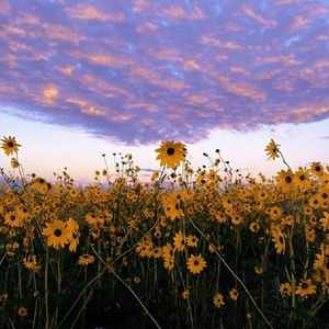 男性男同一区二区三区
